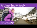 Winter Snow Walk in Switzerland Alpine Mountain Pass with Falling Snow