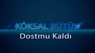 Köksal Bütün /Dostmu Kaldı Resimi