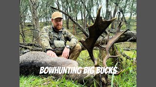 BOWHUNTING big BUCKS in the OPEN!!!