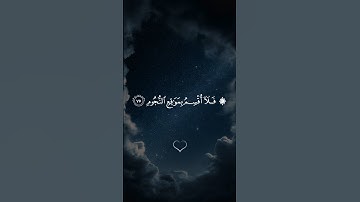 ۞ فَلَا أُقْسِمُ بِمَوَاقِعِ النُّجُومِ || سورة الواقعة #محمد_صديق_المنشاوي 🤍🌱