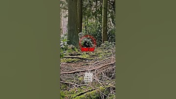 Hoe het echt is om een sluipschutter te zijn 🪖💀