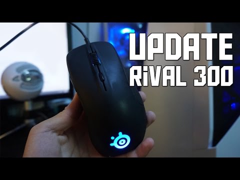 SteelSeries Rival 300 Update - 6 Months Later!