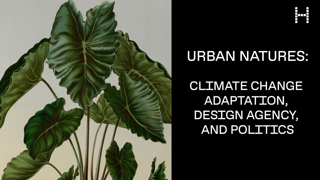 Rachel Dorothy Tanur Memorial Lecture: Urban Natures