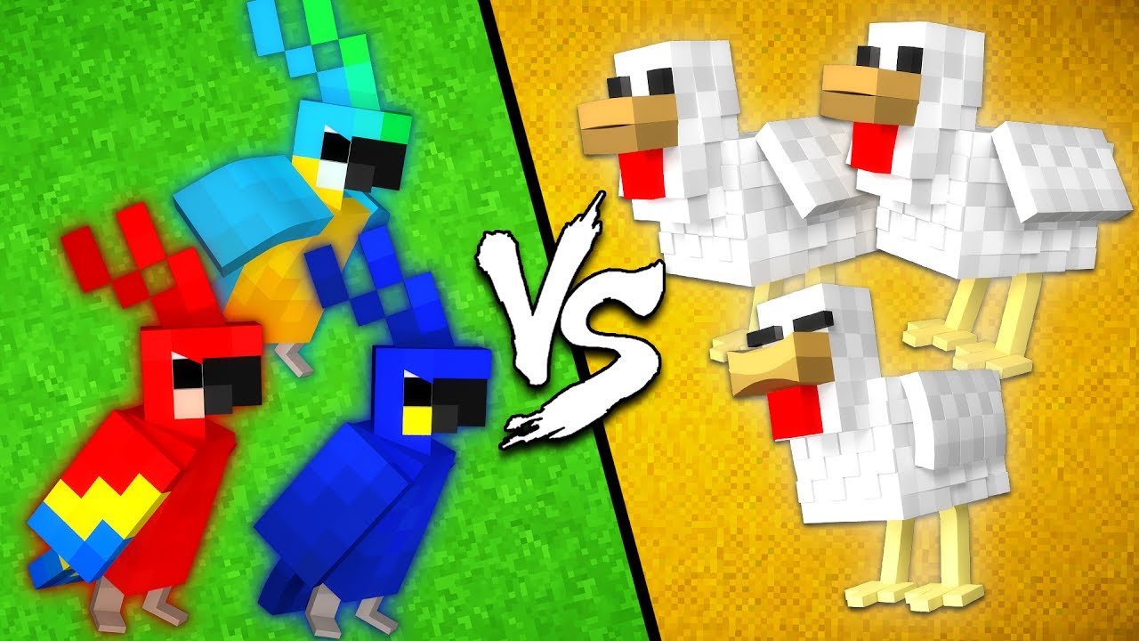 Parrots vs. Chickens - Minecraft - YouTube