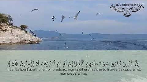 italiano arabo - سورة البقرة -  قران مترجم عربي ايطالي