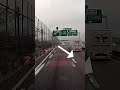 メチャクチャ、こんなのがいるのね〜#shorts