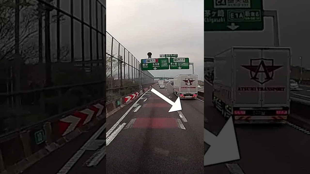 メチャクチャ、こんなのがいるのね〜#shorts