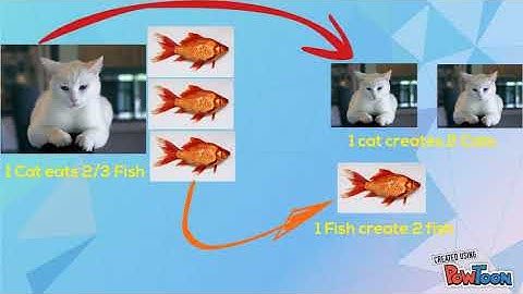 Predator Vs. Prey Relationship Simulation