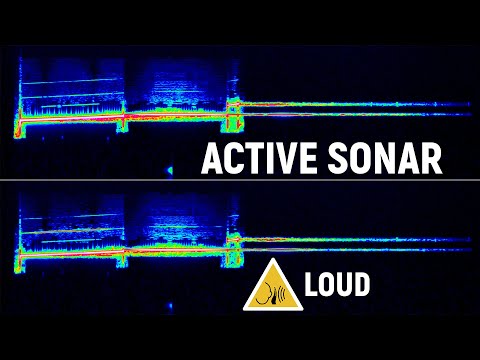 Active Sonar Sound (Extracted) | Caution: Loud Audio