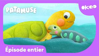 Patamuse 🎨 | Sauver la petite tortue ! 🐢 | Épisode complet | Fête des mères