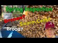 Beekeeping  beekeeping means it is time to inspect our hives