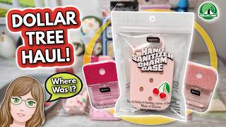 AWESOME Dollar Tree Finds! 😳 Haul & Walkthrough | York, PA | May 22, 2026
