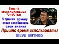 Лучшее из Метода Сильва  Тема 14  Техника моделирования идеального состояния