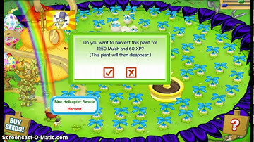 Binweevils How To: Get to LEVEL 70 in 2 Weeks