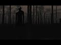 Secretul din pădurea misterioasă.Slendrina:The Forest