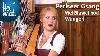 Video thumbnail of "Perlseer Gsang: Mei Biawei hod Wangerl | Musikantentreffen in Schönram | BR Heimat"