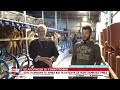 Σε απόγνωση οι κτηνοτρόφοι