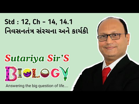 STD 12 | gseb | Ch 14 | 14.1 | nivasantantra ni sarachna ane karyaki | biology gujarati medium