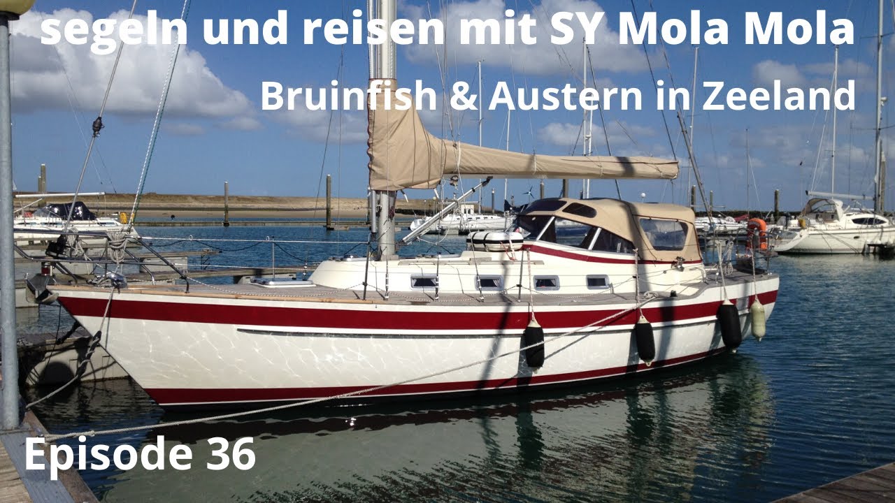 Bruinfish & Austern in Zeeland, segeln und reisen mit SY Mola Mola, Archiv Meltemi Film 2012