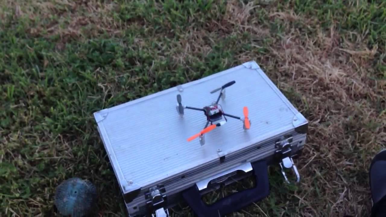 Walkera Ladybird V2 (Post Crash)