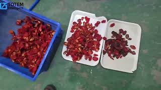 Before vs After Dried Tomato Sorting | AI Optical Sorter for Premium Quality