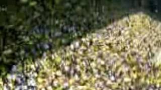 MOV00257