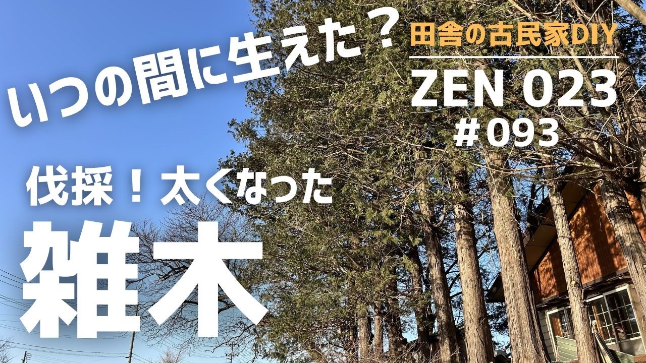 実家の開拓＆DIY】いつの間にか庭に生えた太くなった雑木を伐採