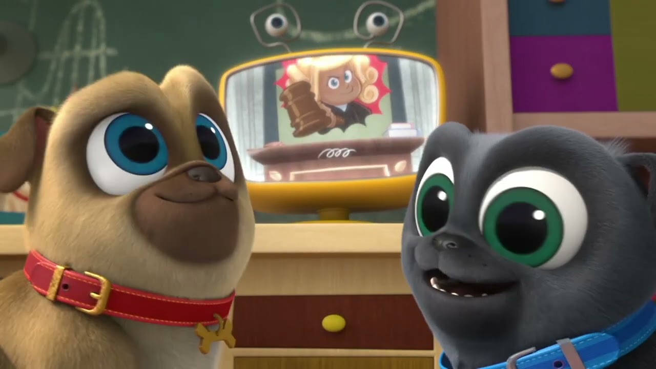 Puppy Dog Pals – Clip | Judge Rolly | Disney Jr