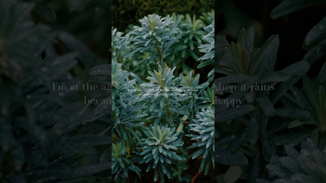 Rainy days in the Cotswolds 🌂 Autumn in the Cotswolds 