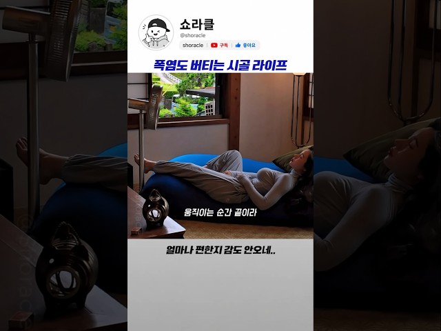 폭염도 버티는 시골 라이프