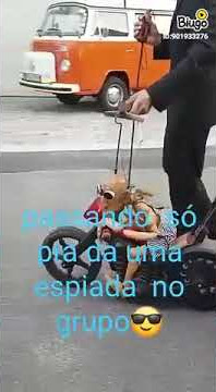 Vidio  porno
