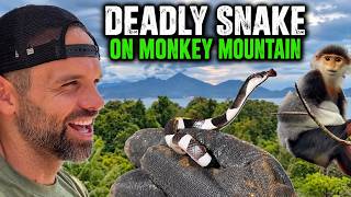 I found this venomous snake eating another snake,  Da Nang, Vietnam!