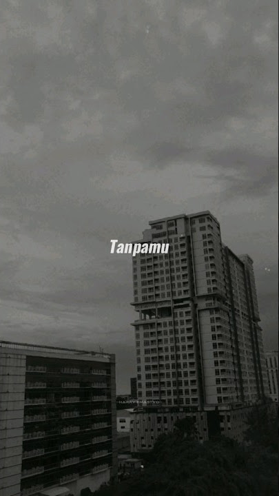 Story WA | Andmesh - Bisa Tanpamu | Lirik #shorts