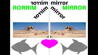 Adobe Illustrator Mirror Drawing