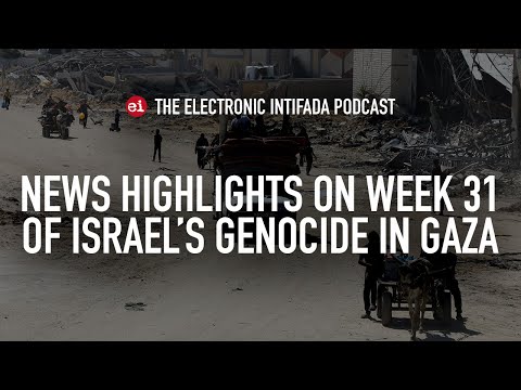 News highlights on week 31 of Israel's genocide in Gaza, with Nora Barrows-Friedman