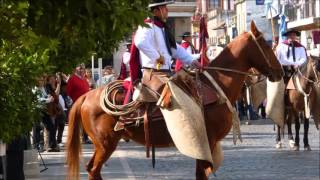 Video thumbnail of "Cuando me acuerdo de Salta. Los Chalchaleros"