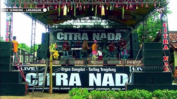 SIWAR SIWUR ~ IIN VARERA || CITRA NADA LIVE DESA SEMBUNG - LARANGAN