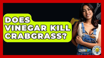 Does Vinegar Kill Crabgrass? - LearnToDIY360.com
