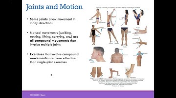 AP1 Online | Chapter 9: Joints