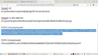 P2PK Playground: Create P2PK outputs on bitcoin and pay someone's raw public key