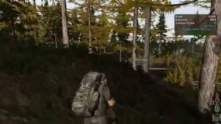 Dayz - czyszczenie lasu