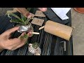 The affordable organic store plant reviews order plant online review affordableorganicplant