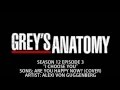 Grey's Anatomy S12E03 - Are You Happy Now? (Cover) by Alexi von Guggenberg