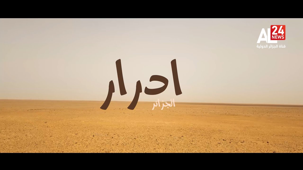 قريبا..القمح يُزهر في صحراء أدرار