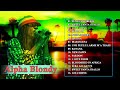Alpha Blondy - Peace in Liberia Live in Zenith Paris | Alpha Blondy Full Album