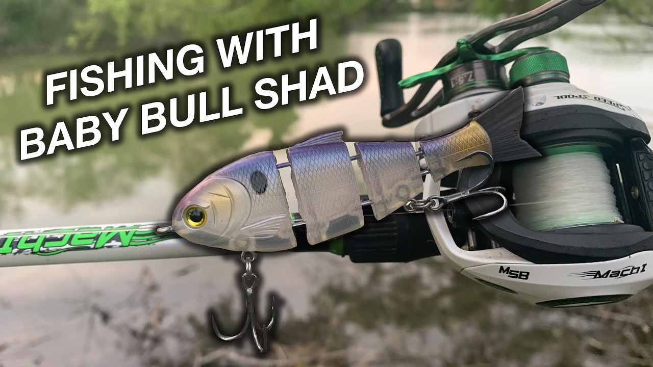 FISHING WITH BABY BULL SHAD (I saved a fish's life!) 