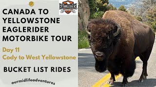 Eaglerider Canada to Yellowstone Day 11 Cody to West Yellowstone charged by angry Yellowstone bison