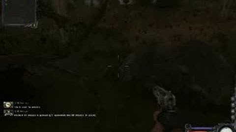 Getting into Cordon in S.T.A.L.K.E.R: Clear Sky