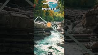 Breathing for Stress: 4-6