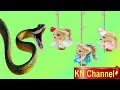 BÚP BÊ KN Channel ĐI BẮT CON RẮN KHỔNG LỒ ??? CUỘC THỬ THÁCH KỲ THÚ